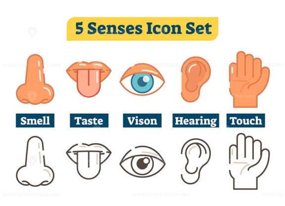 FREE Five human body senses, vector outline icons