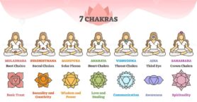 Seven chakras as energy points on body and description scheme outline diagram