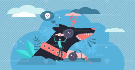 Aggressive vector illustration