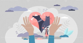 Animal rescue and pet protection with support and love tiny persons concept