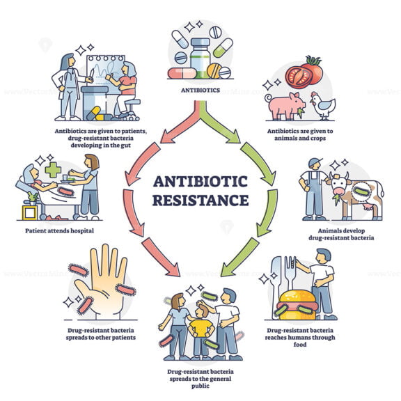 Antibiotic resistance development in everyday life, illustrated outline diagram