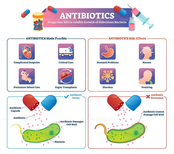 Antibiotics vector illustration