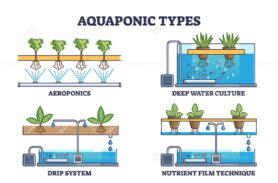 Aquaponic watering and irrigation model types for plants outline collection