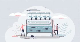 Aquaponics as aquaculture and hydroponics agriculture tiny person concept