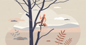 Arborist as professional tree cutting work occupation tiny person concept