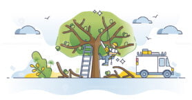 Arborist as professional tree cutting or pruning occupation outline concept