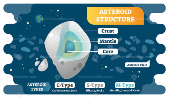 Asteroid structure cross section and asteroid types vector illustration diagram