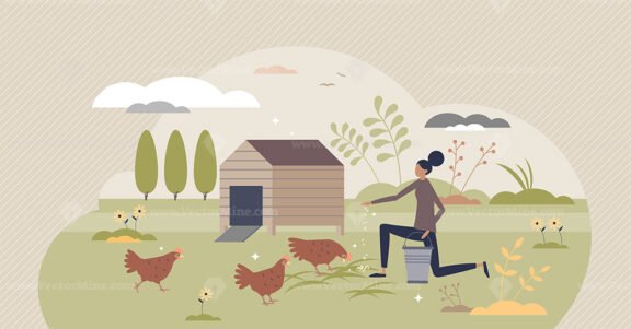Backyard chickens farming and hens feeding with seeds tiny person concept