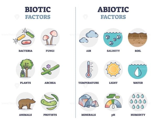 Biotic and abiotic factors as biological elements division outline diagram