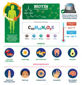Biotin vector illustration