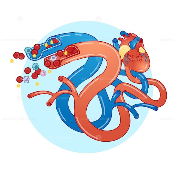 FREE Blood vessels concept flat vector illustration