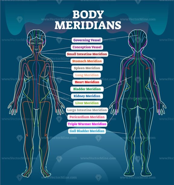 Body meridian system vector illustration scheme, Chinese energy acupuncture therapy diagram chart