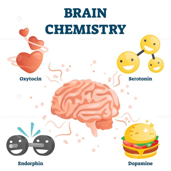 Brain chemistry vector illustration