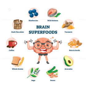 Brain super foods as nutrition products for improving memory and brainpower