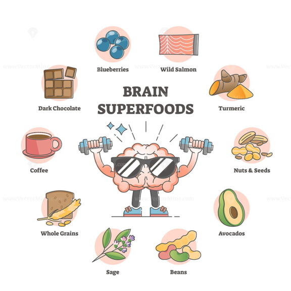 Brain superfoods as nutrition diet products to improve memory outline diagram