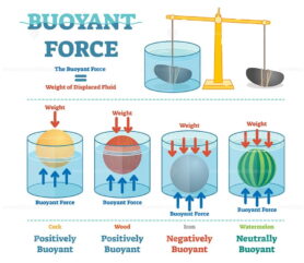 Buoyant force