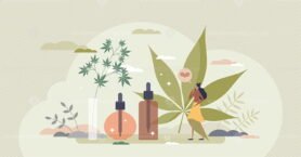 CBD oil as cannabis or hemp seeds extract for wellness tiny person concept