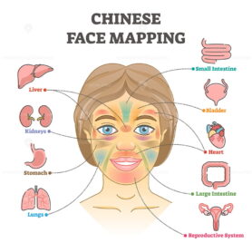 Chinese face mapping as alternative medicine health diagnosis outline diagram