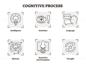 Vector illustration of cognitive process