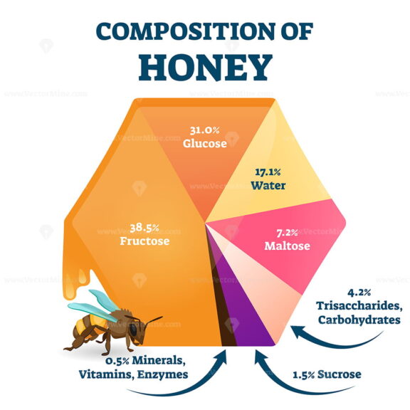 Composition of bee honey vector illustration