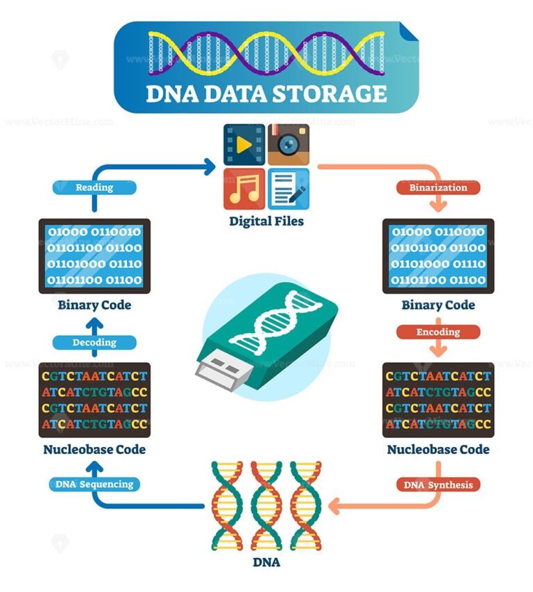 DNA data storage infographic vector illustration