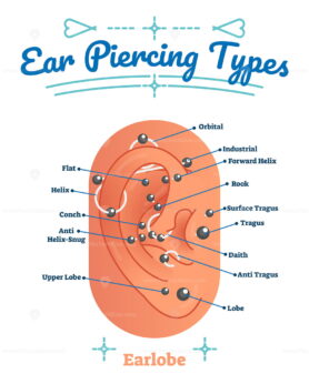 Beauty and fashion medical vector illustration diagram with types of ear piercing