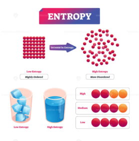 Entropy vector illustration