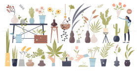 Flowers and plants elements with leafs in pots tiny person collection set