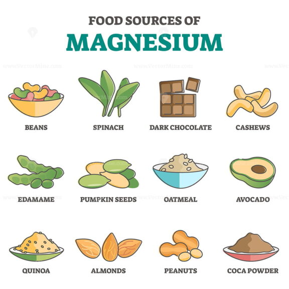 Food sources of magnesium as products for healthy eating outline diagram