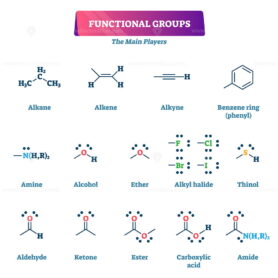 Functional groups vector illustration