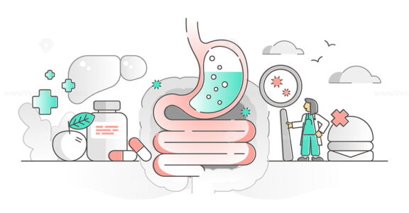 Gastroenterology as stomach and digestive system monocolor outline concept