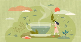 Green tea vector illustration