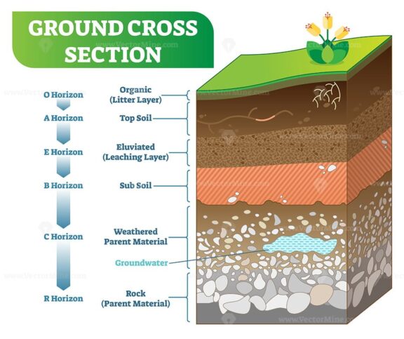 Ground Cross Section vector illustration with organic, topsoil, subsoil and other horizon levels
