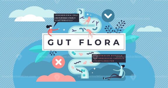 Gut flora vector illustration