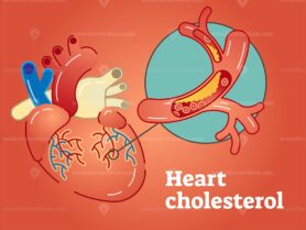FREE Heart cholesterol concept vector illustration