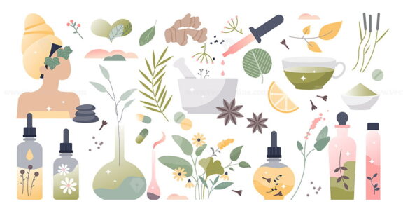 Herbal medicine and alternative homeopathy collection set tiny person concept