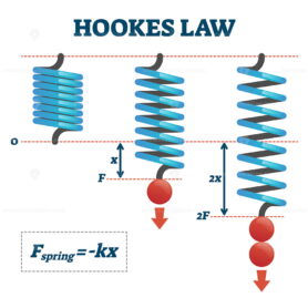 Hookes law vector illustration