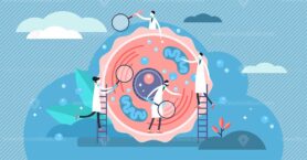 Human cell vector illustration