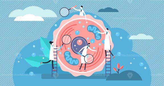 Human cell vector illustration