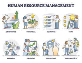Human resource management with employee job research outline collection set