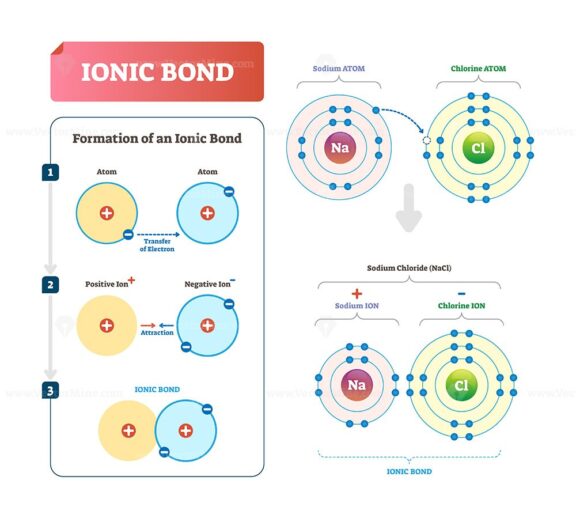 Ionic bond vector illustration