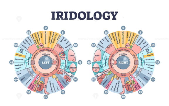 Iridology as eye iris monitoring and disease diagnostics outline diagram