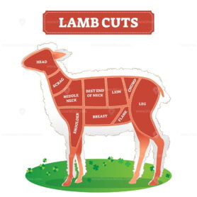 Lamb cut diagram scheme for cooking meat