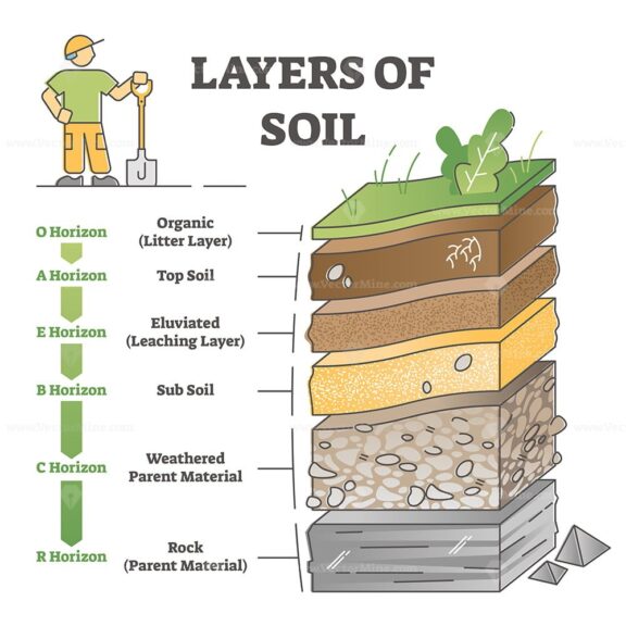 Layers of soil diagram as educational labeled earth structure outline diagram