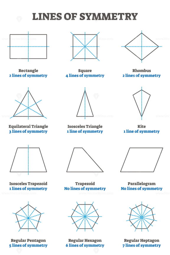 Lines of symmetry guide, vector illustration collection