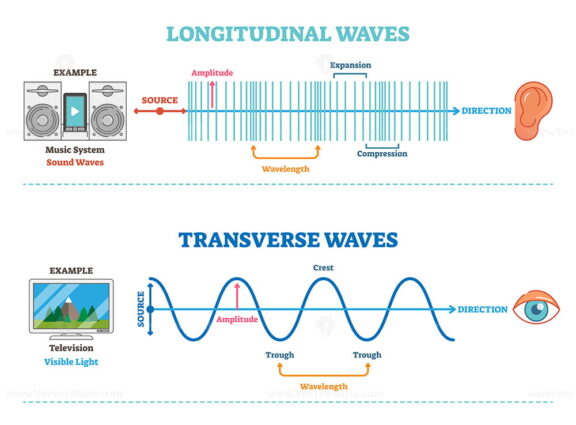 Longitudinal and Transverse wave type