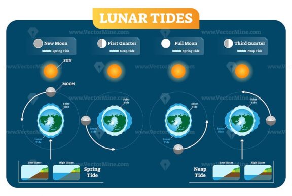 Lunar and Solar tides vector illustration diagram poster