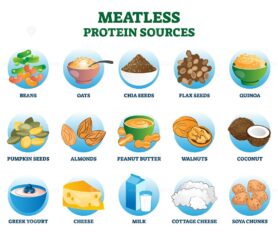 Meatless protein sources as vegetarian substitute and replacement nutrition