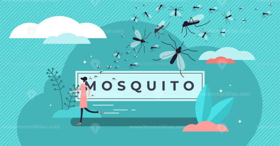 Mosquito vector illustration