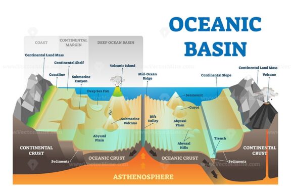 Ocean basin structure vector illustration